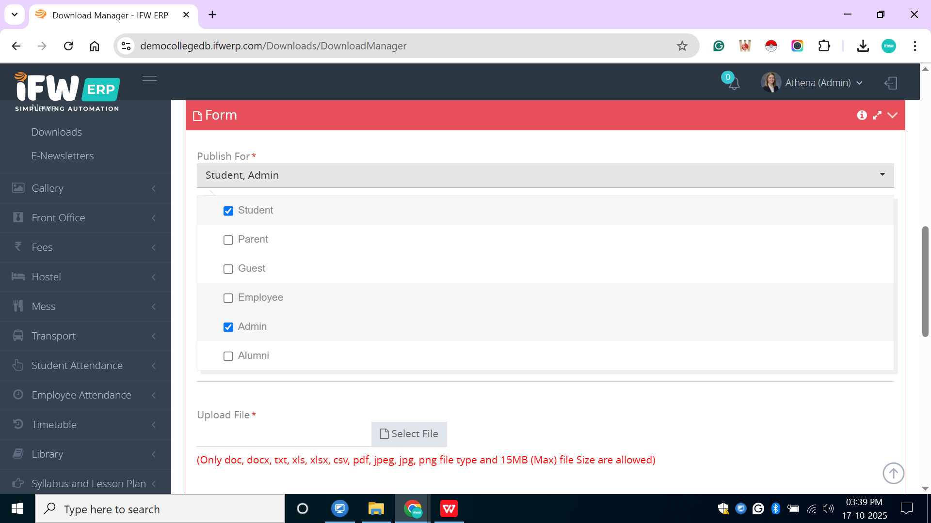 How to use the Download Manager?